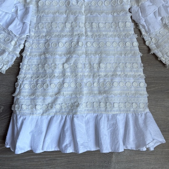 Alexis Calypso Ruffle Mini Dress - Picture 13 of 14